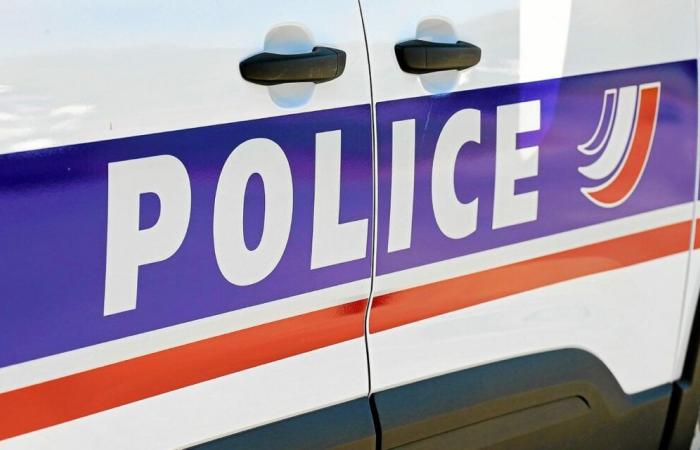 Una giovane ragazza è stata uccisa a coltellate vicino a Limoges