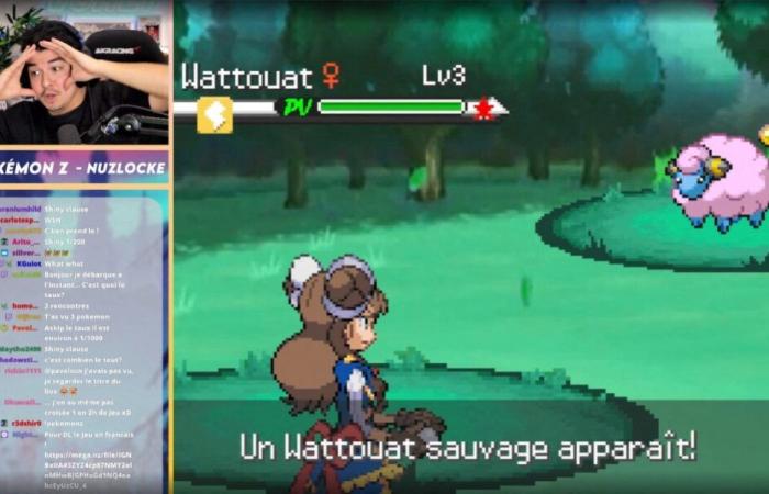 A 30 anni, lo streamer Vohlt si guadagna da vivere giocando a Pokémon