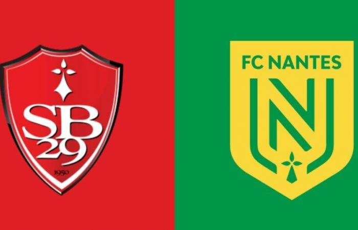 Streaming Brest – Nantes: quale soluzione per vedere la partita in diretta?