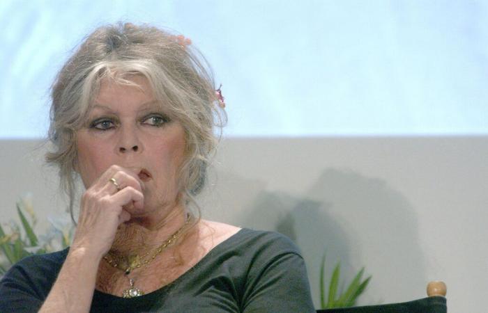 Brigitte Bardot in difficoltà a Saint-Tropez, non usa mezzi termini e denuncia la situazione