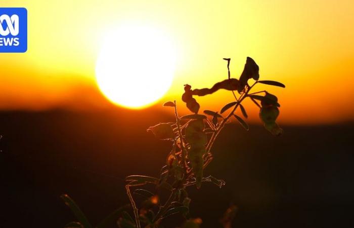 Diverse città del NSW dovrebbero raggiungere temperature record a causa dell’ondata di caldo