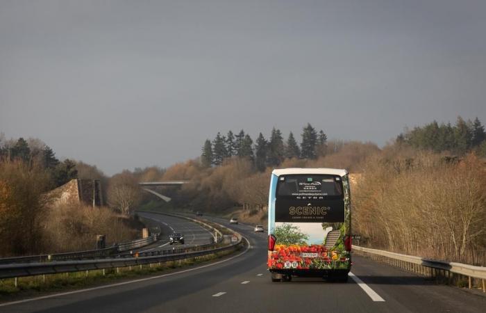 RAPPORTO. Girondini di Bordeaux. Al centro del viaggio a La Roche-sur-Yon, tra il mondo professionistico e quello amatoriale