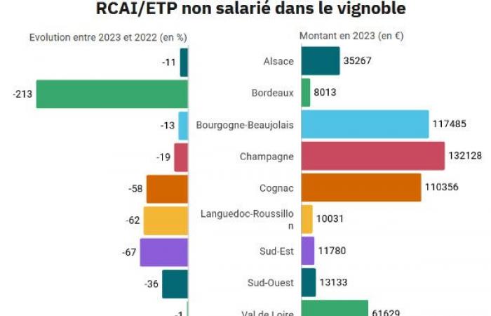 La redditività del vigneto è crollata del 210% a Bordeaux, del 67% nel Sud-Est, del 62% in Linguadoca, del 60% a Cognac…