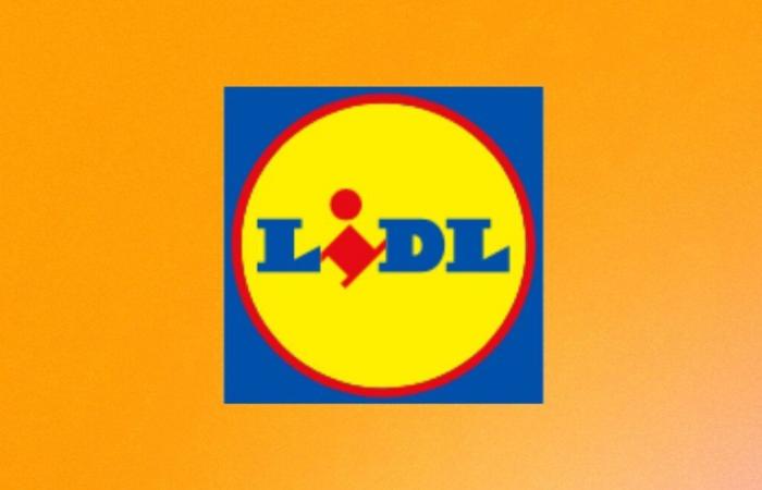 Lidl colpisce forte con la batteria Parkside per meno di 15 euro