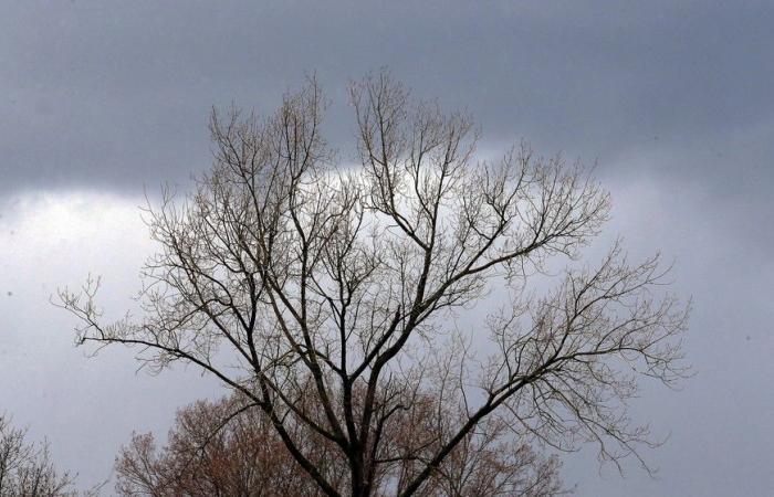 Meteo: nuvoloso, ma dovrebbe rimanere asciutto