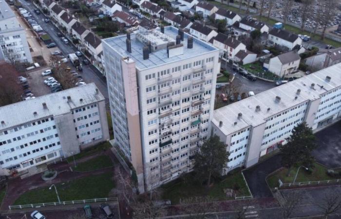 In questo quartiere urbano della Val-d'Oise una torre di undici piani verrà distrutta nel 2025