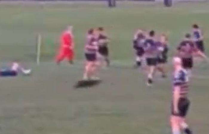 VIDEO. Immagini esilaranti di un cervo che appare sul campo e placca un giocatore di rugby nel bel mezzo di una partita