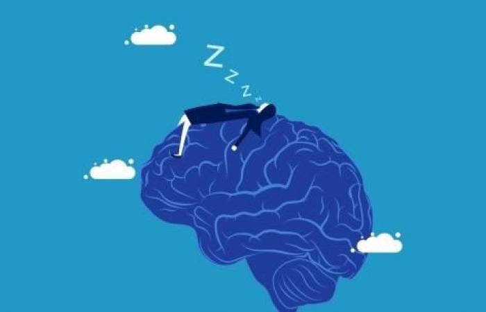 Ecco come il sonno aiuta a formare la memoria