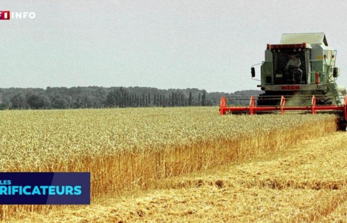 CHECK – In 20 anni la Francia è passata dal 2° al 6° posto mondiale per esportazioni di prodotti agricoli?