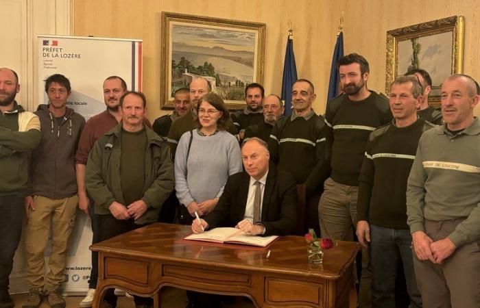 “È anche un messaggio a tutti gli allevatori”: Lozère ha cinque nuovi luogotenenti della louveterie