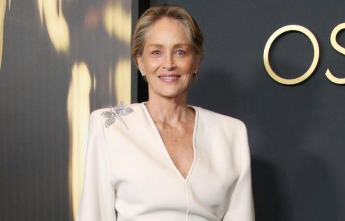 Sharon Stone (66 anni) al culmine dell’eleganza, abbaglia in un abito piumato con profonda scollatura