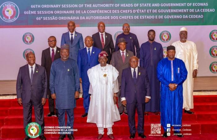 ECOWAS: sei mesi aggiuntivi per evitare una divisione con l’AES | APAnews