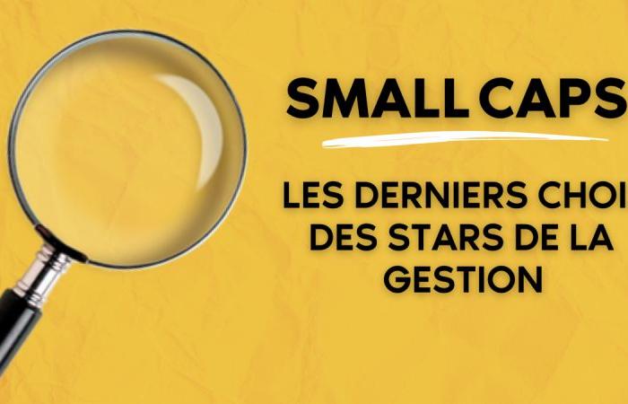 Small Cap: le ultime scelte delle star del management