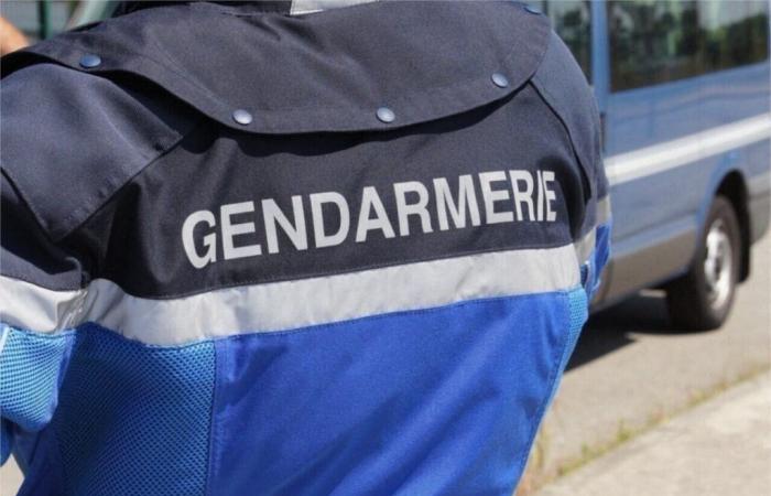 Vestiti, carburante, denaro… Un gruppo di giovani amici commette numerosi furti nella Manica