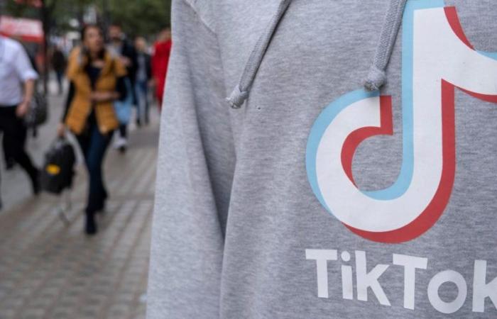 TikTok supera Shein e Sephora tra gli acquirenti online statunitensi, dice il rapporto