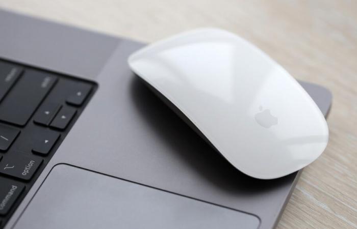 Magic Mouse: Apple correggerà la situazione