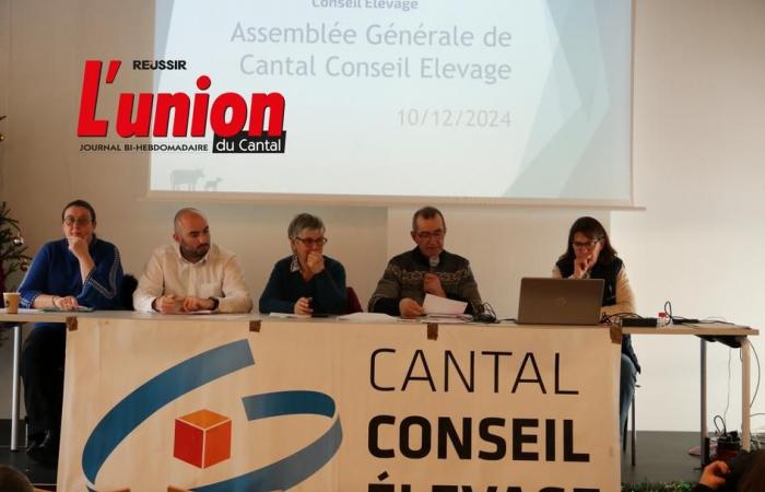 Cantal Conseil Élevage: soddisfare le esigenze prestazionali | Agricoltura Massiccio centrale