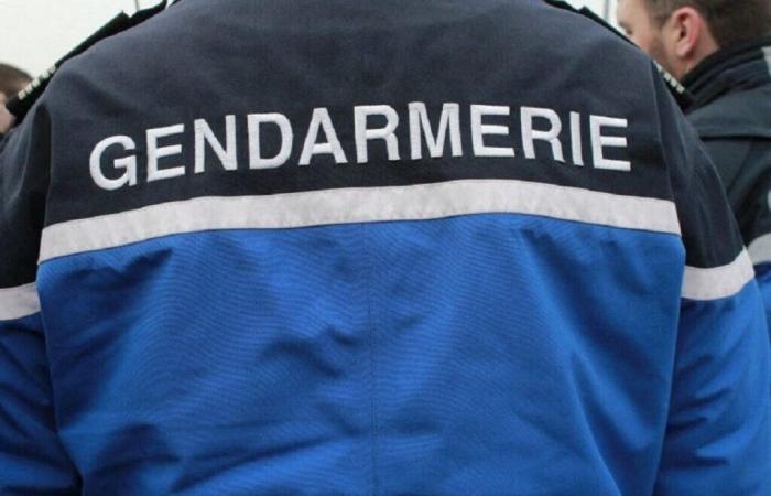 La polizia ha scoperto per caso un uomo privo di sensi su un sentiero in Vandea e gli ha salvato la vita