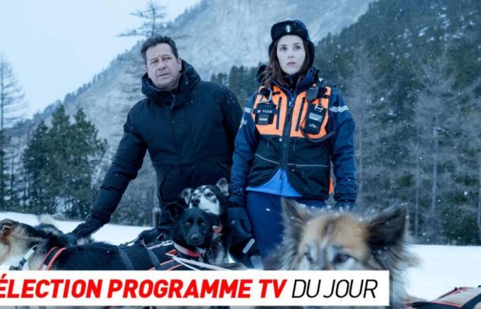 Programma TV: Hors Limites, Al tuo fianco… cosa vedere stasera in TV?