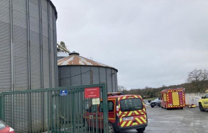 morte del direttore della cooperativa Chavin durante un incidente in un silo