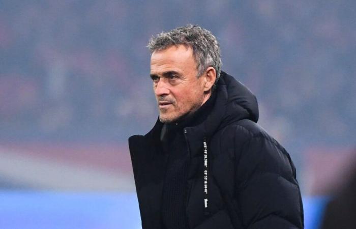 PSG: Luis Enrique si scatena sul suo prossimo rinforzo