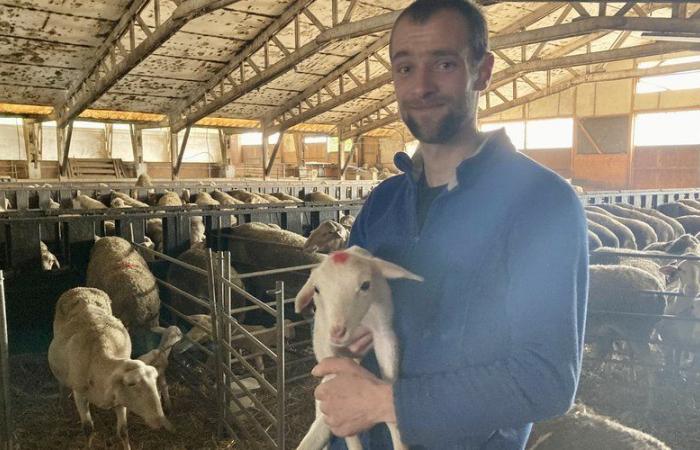 “Voglio mettere la Lozère sotto i riflettori”: Matthieu Hamel eletto Mister France agricole