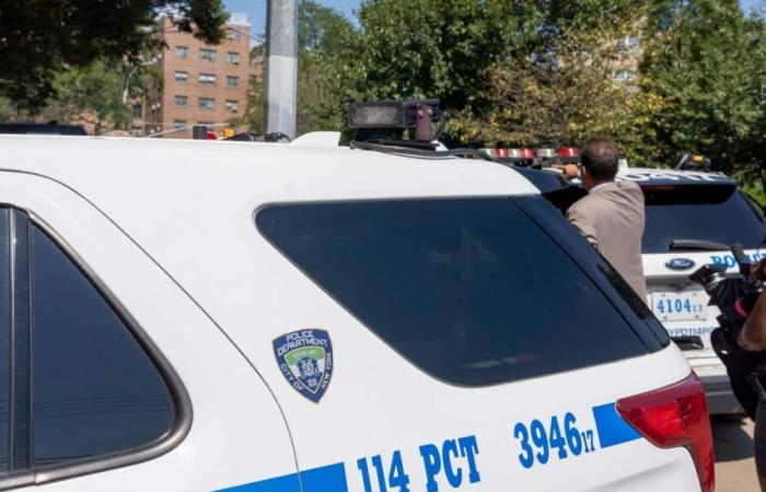 L’autista di New York ha falciato i pedoni mentre fuggiva dalla polizia