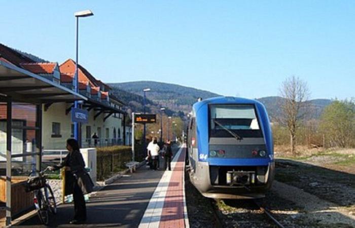 La SNCF aumenta il numero di viaggi giornalieri su questa linea dell'Alto Reno