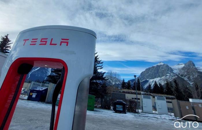 Esplodono le azioni Tesla e la fortuna di Elon Musk | Novità automobilistiche