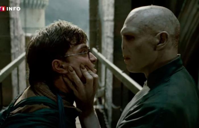 Harry Potter: tutto quello che sappiamo (per il momento) sulle future serie TV