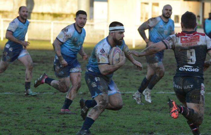 Super XIII: gli Orsi artigliano i Grizzlies