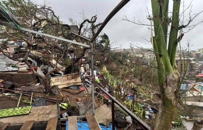 Ciclone Chido a Mayotte – Dipartimento Nord: “Vedremo quanto potremo essere utili”