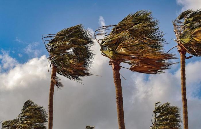 La tempesta Dorothea costringe alla cancellazione delle lezioni a El Hierro, Tenerife, La Gomera e nelle zone di La Palma