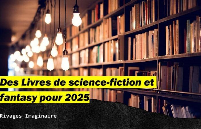 Libri di fantascienza e fantasy per il 2025: Rivages Imaginaire | di Nicolas Winter | Dicembre 2024