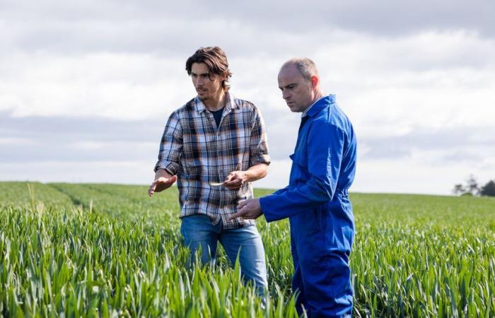 GEBTP23 sta reclutando un elettricista M/F e un posto presso la Camera dell'Agricoltura di Guéret