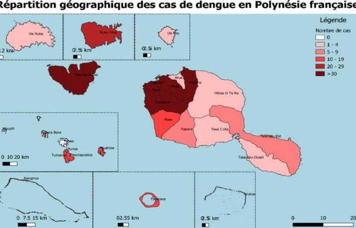 L’epidemia di dengue avanza nel fenua • TNTV Tahiti Nui Télévision