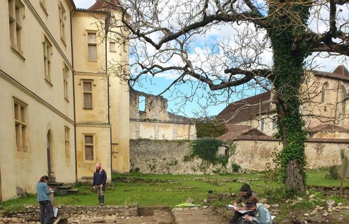 una preziosa e antica scoperta sotto l'abbazia di Sorde nelle Landes