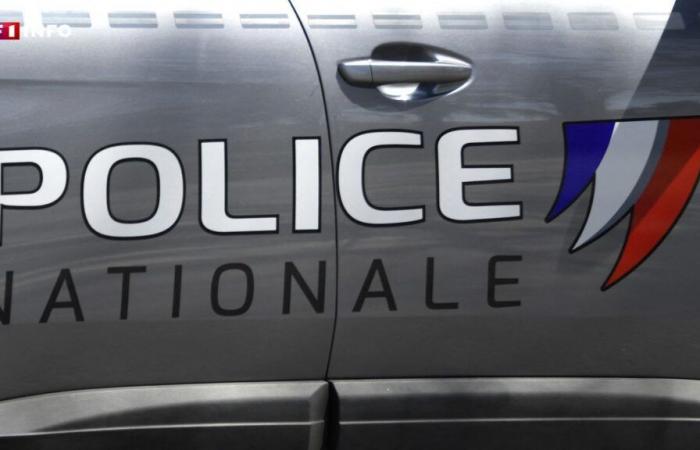 Adolescente di 15 anni uccisa nell’Haute-Vienne: Inès ha pugnalato una quarantina di volte per il suo telefono