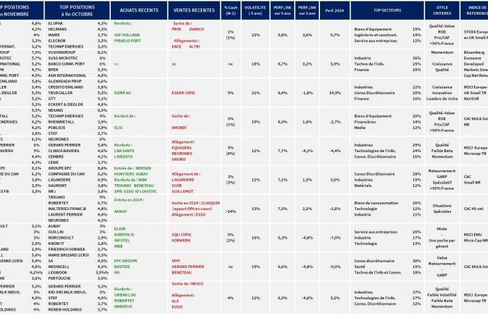 Small Cap: le ultime scelte delle star del management