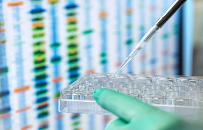 Dopo il test del DNA ricreativo, una donna americana risolve un caso irrisolto di 25 anni e manda sua nonna in prigione