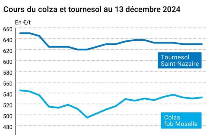 COTidienne | Semi oleosi – Notevole aumento dei prezzi della colza a febbraio, altre scadenze mostrano lievi progressi