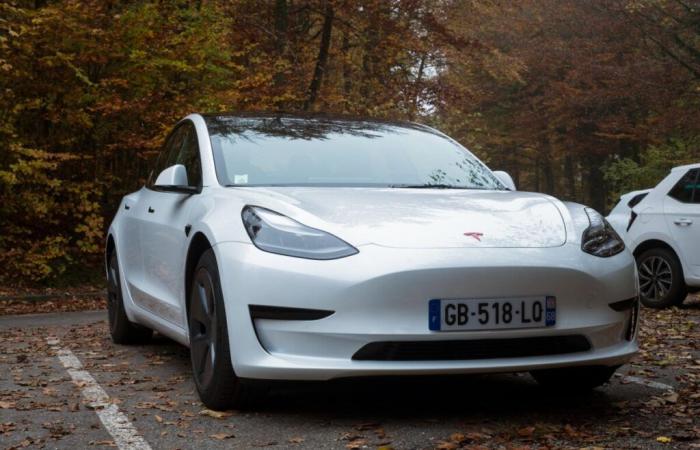 quale budget dovresti pianificare per una Tesla Model 3?