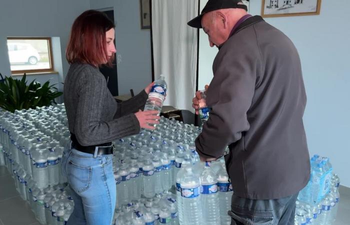 “per lavarti i denti, prendi l’acqua in bottiglia”