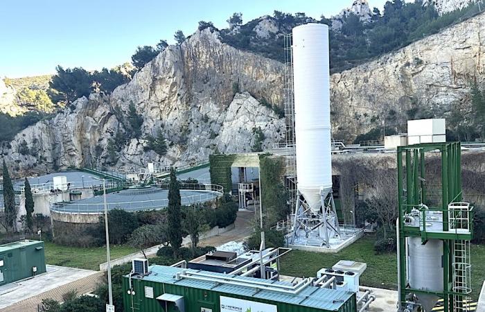 Sormiou accende il gas per riscaldare diversamente il Marsiglia