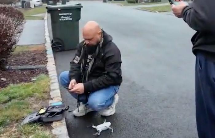 Il pilota del New Jersey ha “perso il controllo” dopo l'incontro con un drone non identificato: rapporto