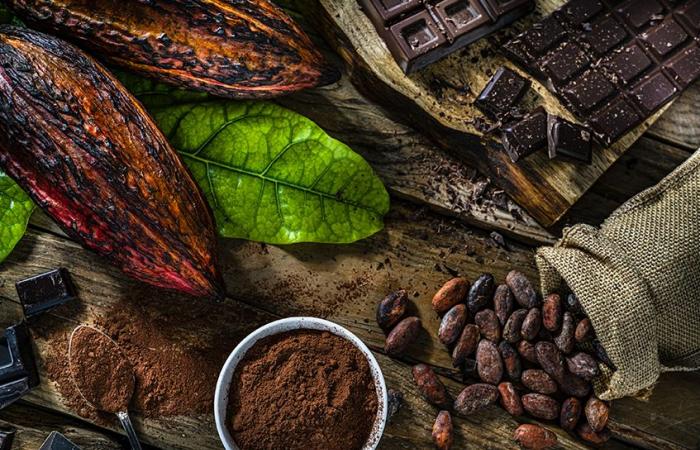 I prezzi del cacao aumentano del 50% prima delle vacanze