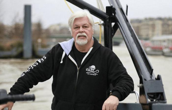 Paul Watson è libero: la Danimarca rifiuta di estradarlo in Giappone