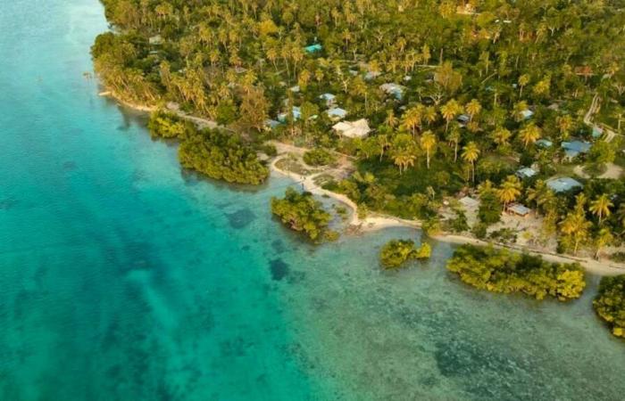 Forte terremoto al largo di Vanuatu: un testimone denuncia le vittime