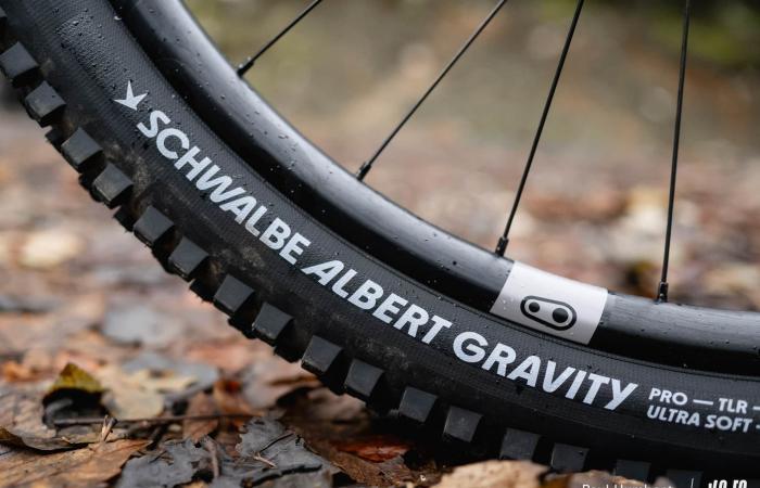 Schwalbe Albert Radial: approccio diverso, risultato definitivo! ⋆ Vojo