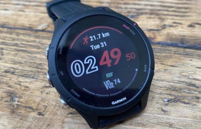 L’orologio GPS Garmin Forerunner 255 in vendita ad un ottimo prezzo cambierà i tuoi allenamenti